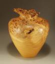 Small Elm Burl Vase